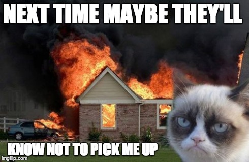 Don't pick me up | NEXT TIME MAYBE THEY'LL KNOW NOT TO PICK ME UP | image tagged in memes,burn kitty | made w/ Imgflip meme maker