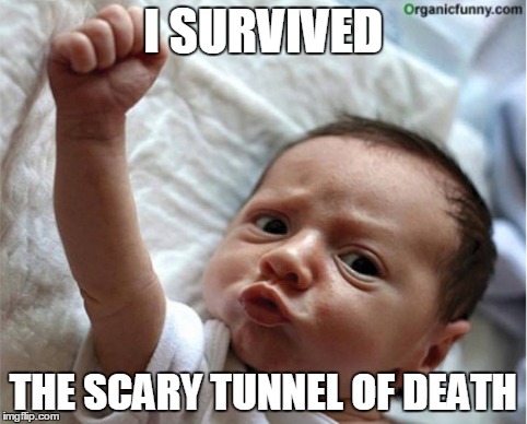 I SURVIVED THE SCARY TUNNEL OF DEATH | image tagged in memes,baby | made w/ Imgflip meme maker