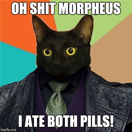 Morpheus cat | OH SHIT MORPHEUS I ATE BOTH PILLS! | image tagged in cat,matrix morpheus,morpheus,matrix,business cat | made w/ Imgflip meme maker