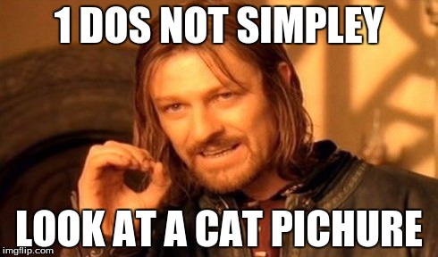 One Does Not Simply Meme | 1 DOS NOT SIMPLEY LOOK AT A CAT PICHURE | image tagged in memes,one does not simply | made w/ Imgflip meme maker