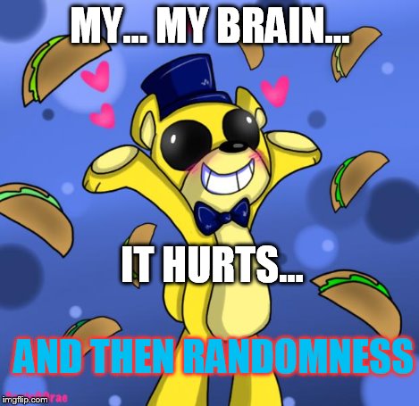 goldie and tacos | MY... MY BRAIN... IT HURTS... AND THEN RANDOMNESS | image tagged in goldie and tacos | made w/ Imgflip meme maker