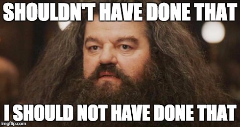 Hagrid | SHOULDN'T HAVE DONE THAT I SHOULD NOT HAVE DONE THAT | image tagged in hagrid | made w/ Imgflip meme maker
