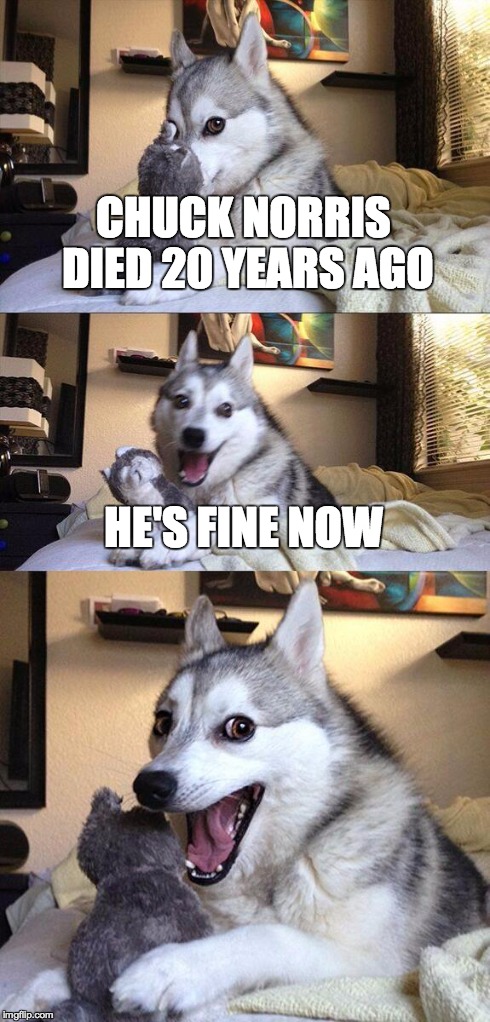 Bad Pun Dog | CHUCK NORRIS DIED 20 YEARS AGO HE'S FINE NOW | image tagged in memes,bad pun dog | made w/ Imgflip meme maker