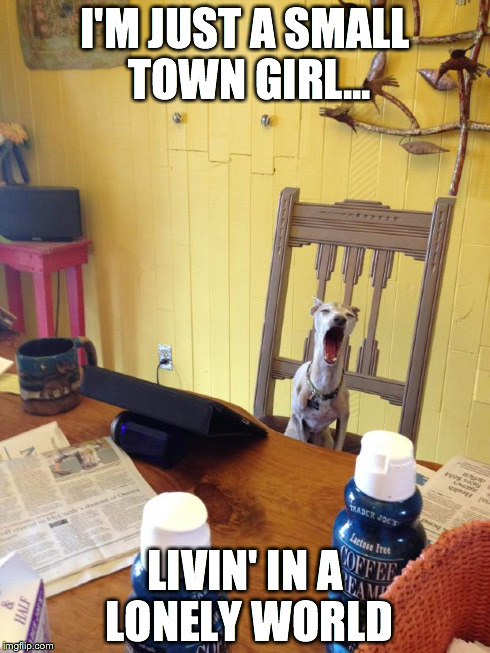 I'M JUST A SMALL TOWN GIRL... LIVIN' IN A LONELY WORLD | image tagged in small town greyhound,ItalianGreyhounds | made w/ Imgflip meme maker