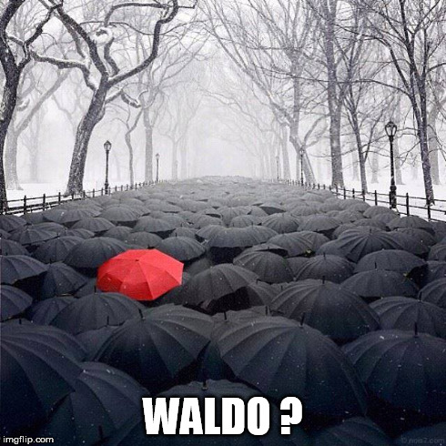 Still Searching | WALDO ? | image tagged in where's waldo | made w/ Imgflip meme maker
