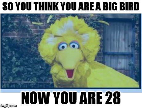 28th birthday | SO YOU THINK YOU ARE A BIG BIRD NOW YOU ARE 28 | image tagged in big bird | made w/ Imgflip meme maker