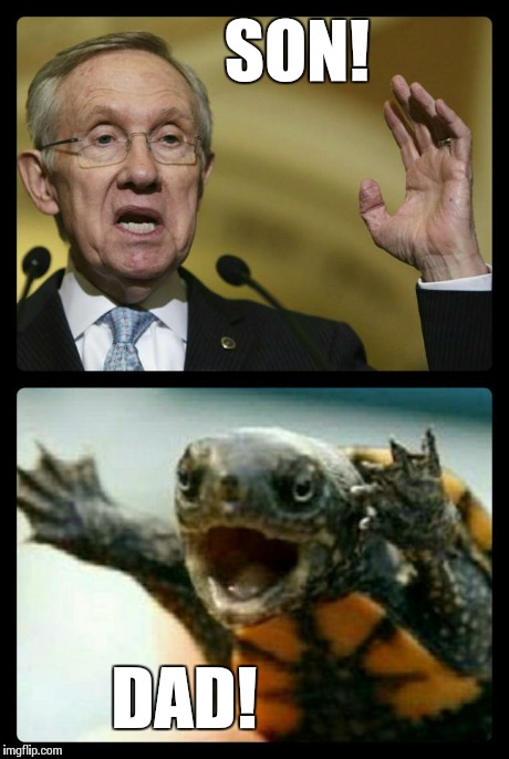 Harry Reid's Family Reunion  | SON! DAD! | image tagged in harry reid what | made w/ Imgflip meme maker