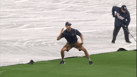 Padres groundskeeper dances, slides on tarp during rain delay (GIF)