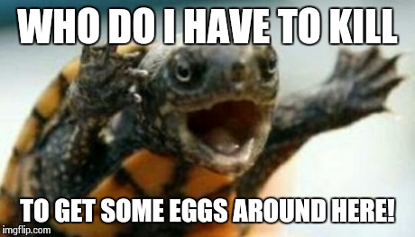 Turtle Eggs | WHO DO I HAVE TO KILL TO GET SOME EGGS AROUND HERE! | image tagged in turtle say what | made w/ Imgflip meme maker