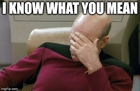 Captain Picard Facepalm Meme | I KNOW WHAT YOU MEAN | image tagged in memes,captain picard facepalm | made w/ Imgflip meme maker