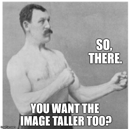 Adjusted. | SO, THERE. YOU WANT THE IMAGE TALLER TOO? | image tagged in memes,overly manly man,fourth wall | made w/ Imgflip meme maker