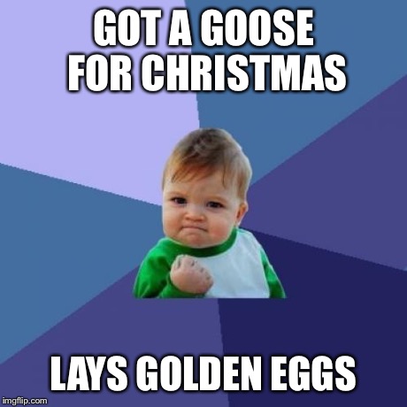 Success Kid | GOT A GOOSE FOR CHRISTMAS LAYS GOLDEN EGGS | image tagged in memes,success kid | made w/ Imgflip meme maker