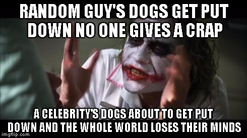 And everybody loses their minds | RANDOM GUY'S DOGS GET PUT DOWN NO ONE GIVES A CRAP A CELEBRITY'S DOGS ABOUT TO GET PUT DOWN AND THE WHOLE WORLD LOSES THEIR MINDS | image tagged in memes,and everybody loses their minds | made w/ Imgflip meme maker