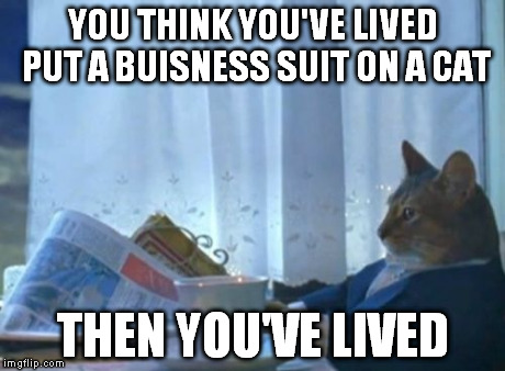 I Should Buy A Boat Cat | YOU THINK YOU'VE LIVED PUT A BUISNESS SUIT ON A CAT THEN YOU'VE LIVED | image tagged in memes,i should buy a boat cat | made w/ Imgflip meme maker