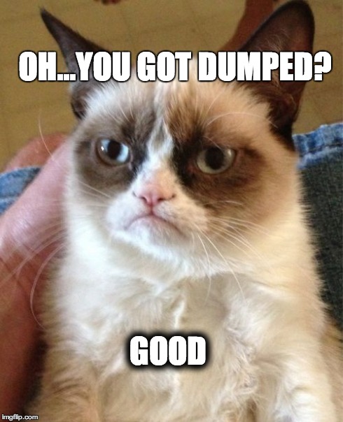 Grumpy Cat | OH...YOU GOT DUMPED? GOOD | image tagged in memes,grumpy cat | made w/ Imgflip meme maker
