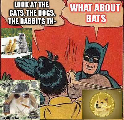 Batman Slapping Robin Meme | LOOK AT THE CATS, THE DOGS, THE RABBITS TH- WHAT ABOUT BATS | image tagged in memes,batman slapping robin | made w/ Imgflip meme maker