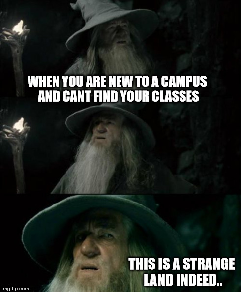 Confused Gandalf | WHEN YOU ARE NEW TO A CAMPUS AND CANT FIND YOUR CLASSES THIS IS A STRANGE LAND INDEED.. | image tagged in memes,confused gandalf | made w/ Imgflip meme maker