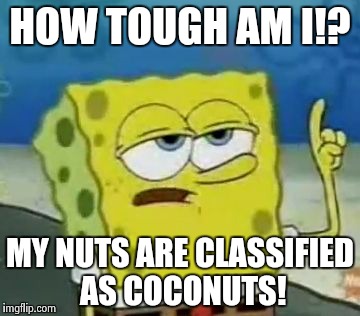 I'll Have You Know Spongebob Meme | HOW TOUGH AM I!? MY NUTS ARE CLASSIFIED AS COCONUTS! | image tagged in memes,ill have you know spongebob | made w/ Imgflip meme maker