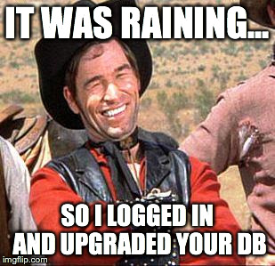 cowboy | IT WAS RAINING... SO I LOGGED IN AND UPGRADED YOUR DB | image tagged in cowboy | made w/ Imgflip meme maker