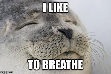 Satisfied Seal | I LIKE TO BREATHE | image tagged in memes,satisfied seal | made w/ Imgflip meme maker