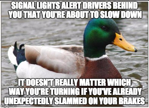 Actual Advice Mallard Meme | SIGNAL LIGHTS ALERT DRIVERS BEHIND YOU THAT YOU'RE ABOUT TO SLOW DOWN IT DOESN'T REALLY MATTER WHICH WAY YOU'RE TURNING IF YOU'VE ALREADY UN | image tagged in memes,actual advice mallard,AdviceAnimals | made w/ Imgflip meme maker