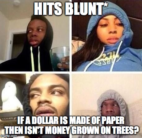 *Hits blunt | HITS BLUNT* IF A DOLLAR IS MADE OF PAPER THEN ISN'T MONEY GROWN ON TREES? | image tagged in hits blunt | made w/ Imgflip meme maker