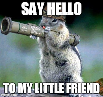 Bazooka Squirrel Meme | SAY HELLO TO MY LITTLE FRIEND | image tagged in memes,bazooka squirrel | made w/ Imgflip meme maker