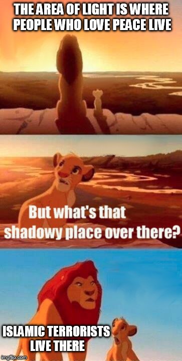 Simba Shadowy Place Meme | THE AREA OF LIGHT IS WHERE PEOPLE WHO LOVE PEACE LIVE ISLAMIC TERRORISTS LIVE THERE | image tagged in memes,simba shadowy place | made w/ Imgflip meme maker