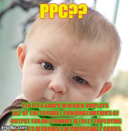 Skeptical Baby | PPC?? YEA ITS A GRAPH IN WHICH DISPLAYS ALL OF THE POSSIBLE COMBINATINATION'S OF OUTPUT FOR AN ECONOMY IS FULLY EMPLOYING ALL OF ITS RESOURC | image tagged in memes,skeptical baby | made w/ Imgflip meme maker