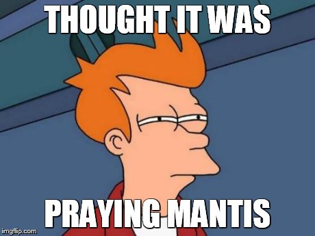THOUGHT IT WAS PRAYING MANTIS | image tagged in memes,futurama fry | made w/ Imgflip meme maker