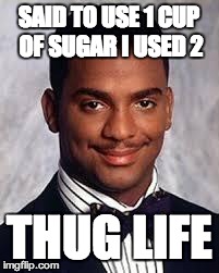 Thug Life | SAID TO USE 1 CUP OF SUGAR I USED 2 THUG LIFE | image tagged in thug life | made w/ Imgflip meme maker