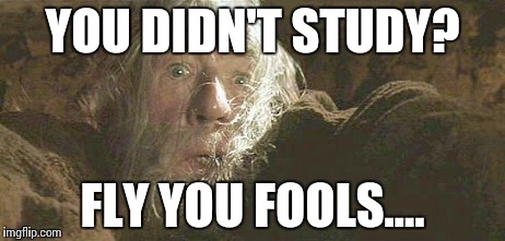 Gandalf Fly You Fools | YOU DIDN'T STUDY? FLY YOU FOOLS.... | image tagged in gandalf fly you fools | made w/ Imgflip meme maker