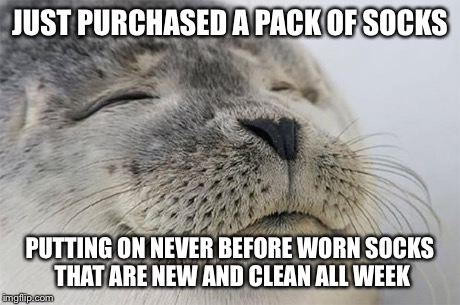 Satisfied Seal | JUST PURCHASED A PACK OF SOCKS PUTTING ON NEVER BEFORE WORN SOCKS THAT ARE NEW AND CLEAN ALL WEEK | image tagged in memes,satisfied seal,AdviceAnimals | made w/ Imgflip meme maker