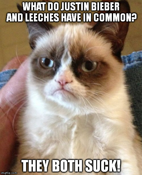 Grumpy Cat | WHAT DO JUSTIN BIEBER AND LEECHES HAVE IN COMMON? THEY BOTH SUCK! | image tagged in memes,grumpy cat | made w/ Imgflip meme maker