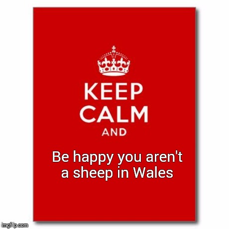 Keep calm  | Be happy you aren't a sheep in Wales | image tagged in keep calm  | made w/ Imgflip meme maker
