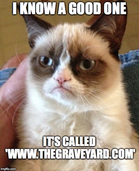 Grumpy Cat Meme | I KNOW A GOOD ONE IT'S CALLED 'WWW.THEGRAVEYARD.COM' | image tagged in memes,grumpy cat | made w/ Imgflip meme maker