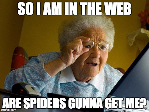 Grandma Finds The Internet | SO I AM IN THE WEB ARE SPIDERS GUNNA GET ME? | image tagged in memes,grandma finds the internet | made w/ Imgflip meme maker