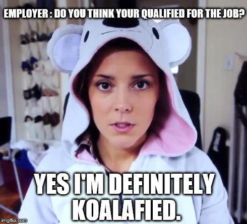 EMPLOYER : DO YOU THINK YOUR QUALIFIED FOR THE JOB? YES I'M DEFINITELY KOALAFIED. | image tagged in koala | made w/ Imgflip meme maker