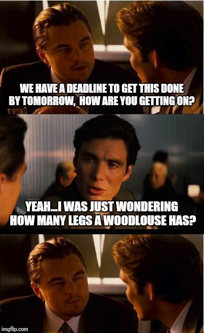 How it feels working with someone who has an INFP personality | WE HAVE A DEADLINE TO GET THIS DONE BY TOMORROW,  HOW ARE YOU GETTING ON? YEAH...I WAS JUST WONDERING HOW MANY LEGS A WOODLOUSE HAS? | image tagged in memes,inception | made w/ Imgflip meme maker