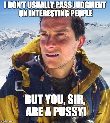 Bear | I DON'T USUALLY PASS JUDGMENT ON INTERESTING PEOPLE BUT YOU, SIR, ARE A PUSSY! | image tagged in bear | made w/ Imgflip meme maker