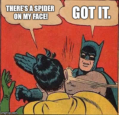 Spider | THERE'S A SPIDER ON MY FACE! GOT IT. | image tagged in memes,batman slapping robin,spider | made w/ Imgflip meme maker