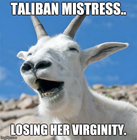 Laughing Goat | TALIBAN MISTRESS.. LOSING HER VIRGINITY. | image tagged in memes,laughing goat | made w/ Imgflip meme maker