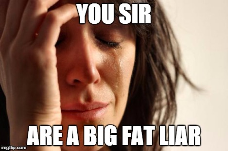 First World Problems Meme | YOU SIR ARE A BIG FAT LIAR | image tagged in memes,first world problems | made w/ Imgflip meme maker