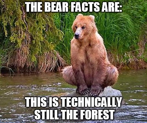 The Bear Facts | THE BEAR FACTS ARE: THIS IS TECHNICALLY STILL THE FOREST | image tagged in the bear facts | made w/ Imgflip meme maker