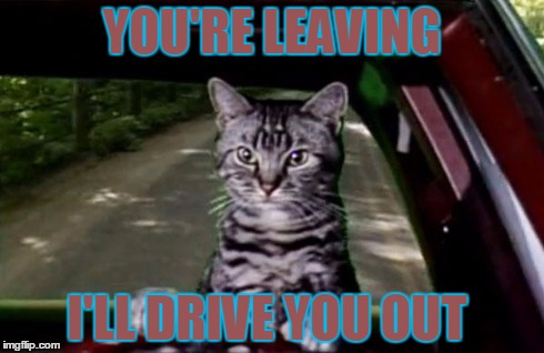 drive you out  | YOU'RE LEAVING I'LL DRIVE YOU OUT | image tagged in saturday night live | made w/ Imgflip meme maker