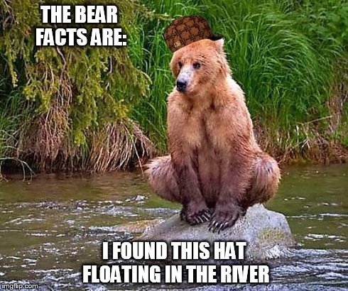 The Bear Facts | THE BEAR FACTS ARE: I FOUND THIS HAT FLOATING IN THE RIVER | image tagged in the bear facts,scumbag | made w/ Imgflip meme maker