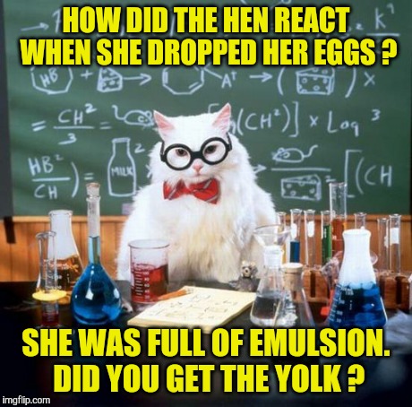 Chemistry Cat | HOW DID THE HEN REACT WHEN SHE DROPPED HER EGGS ? SHE WAS FULL OF EMULSION. DID YOU GET THE YOLK ? | image tagged in memes,chemistry cat | made w/ Imgflip meme maker