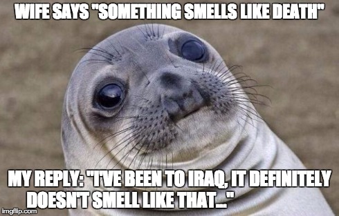 Awkward Moment Sealion | WIFE SAYS "SOMETHING SMELLS LIKE DEATH" MY REPLY: "I'VE BEEN TO IRAQ, IT DEFINITELY DOESN'T SMELL LIKE THAT..." | image tagged in memes,awkward moment sealion | made w/ Imgflip meme maker