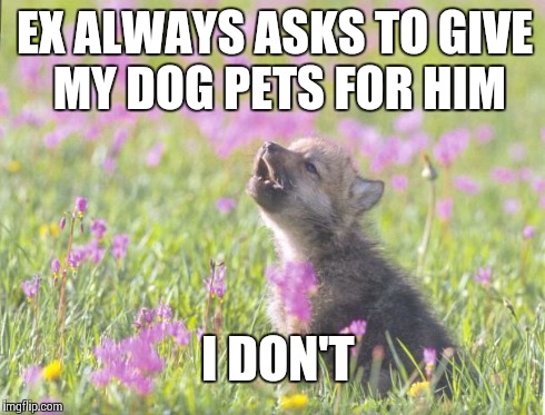 Baby Insanity Wolf | EX ALWAYS ASKS TO GIVE MY DOG PETS FOR HIM I DON'T | image tagged in memes,baby insanity wolf,AdviceAnimals | made w/ Imgflip meme maker