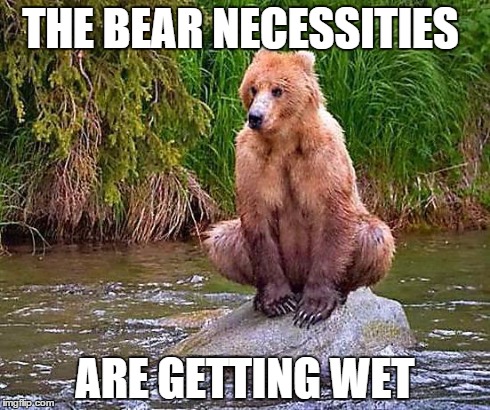 The Bear Facts | THE BEAR NECESSITIES ARE GETTING WET | image tagged in the bear facts | made w/ Imgflip meme maker
